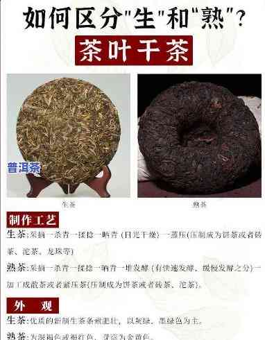 怎样品鉴普洱茶生茶熟茶的好坏：全面指南与视频教程