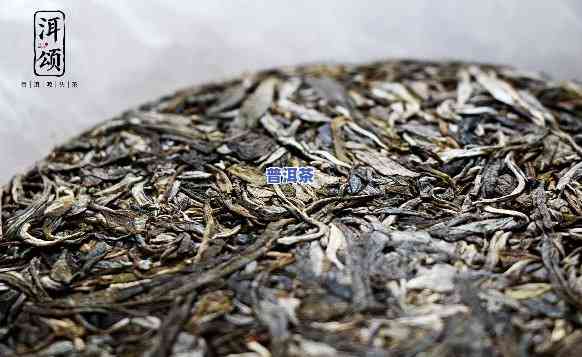 普洱茶是粗茶、品质一般吗？探讨其特性与评价标准