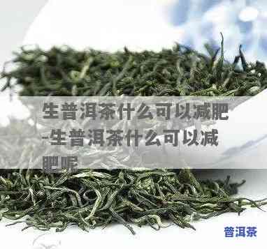 哪一种普洱茶减肥更好呢-哪一种普洱茶减肥更好呢女性