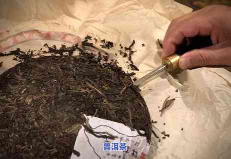 普洱茶减肥减脂刮油，适合湿胖人群饮用吗？效果怎样？