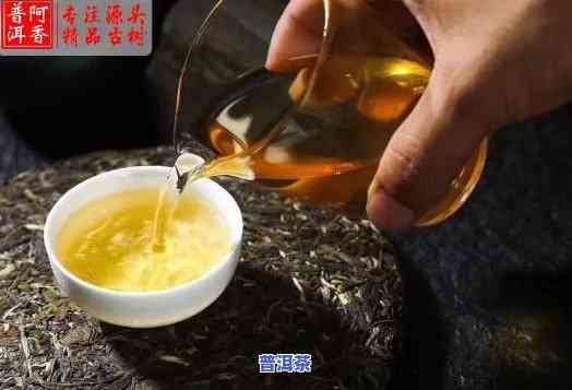 为什么喝熟普洱茶会上火？作用因素解析