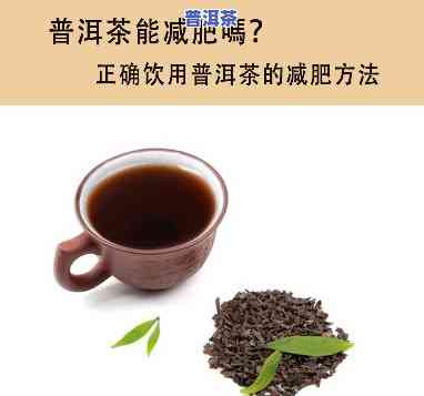 减肥喝哪种普洱茶好？比较各种普洱茶的效果与选择建议