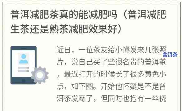 减肥普洱茶哪种效果好点-减肥普洱茶哪种效果好点呢