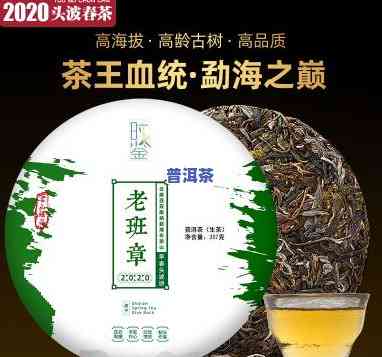 两棵老班章古树茶王-老班章古树茶王价格