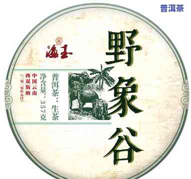 野象谷产普洱茶怎么样呀图片，探索野象谷：揭秘普洱茶的魅力与美丽图片