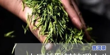 太原普洱茶在哪里呀，太原普洱茶地址查询：想知道具  置？