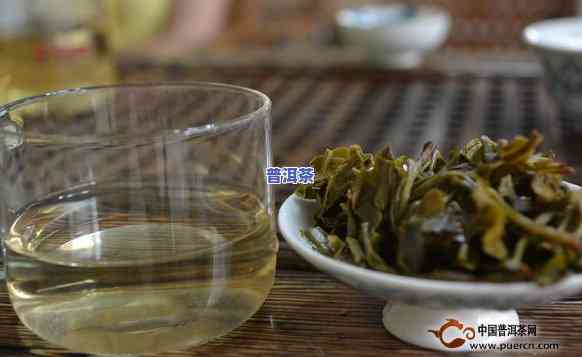 普洱茶冲泡后茶水能放多久，普洱茶冲泡后的茶水保质期有多久？