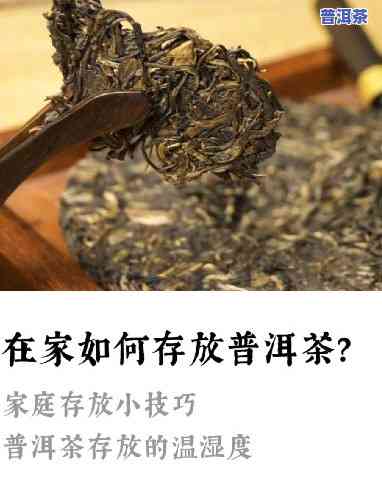 开完普洱茶怎么存放好呢-开完普洱茶怎么存放好呢视频