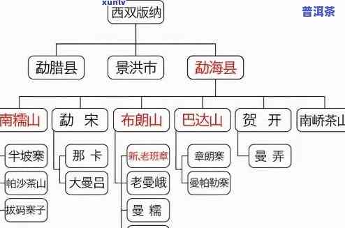 按产地普洱茶分类标准：品种全解析