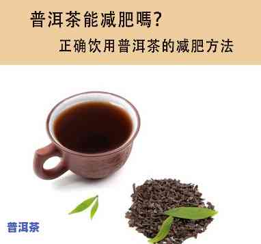 减脂期间可以喝普洱茶吗，普洱茶在减脂期间是不是适宜饮用？