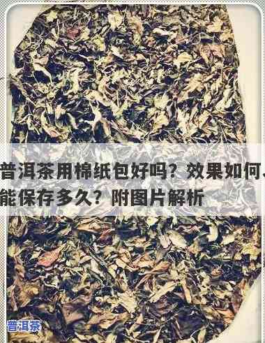 普洱茶包芯料好不好用呢-普洱茶包芯料好不好用呢怎么看