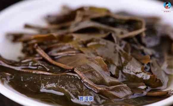 全面熟悉曼秀普洱茶叶：从茶叶底到图片大全