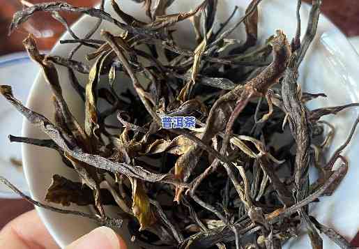 老班章茶有很多茶梗-老班章茶梗多是假的不