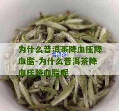 喝普洱茶血脂稠么还高吗为什么，普洱茶与血脂：饮用后是不是会升高？起因解析