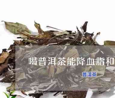 普洱茶对血脂有何作用？探究其功效与作用