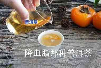 喝普洱茶会降血脂吗？科学解析其作用机制与适用人群