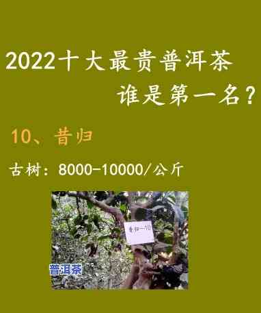 普洱茶哪种最省钱价格高-普洱茶哪种最省钱价格高档