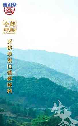 八角亭班章老树价格，探寻古树韵味：八角亭班章老树价格全解析