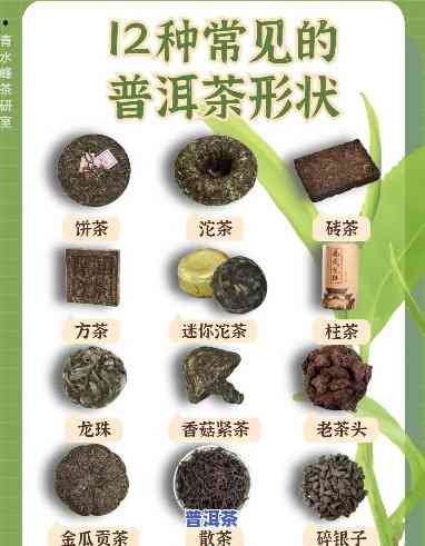 普洱茶是什么形状？从图片中一探究竟