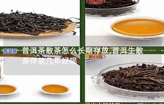 生的普洱茶怎样保存好喝一点：详细教程与视频分享