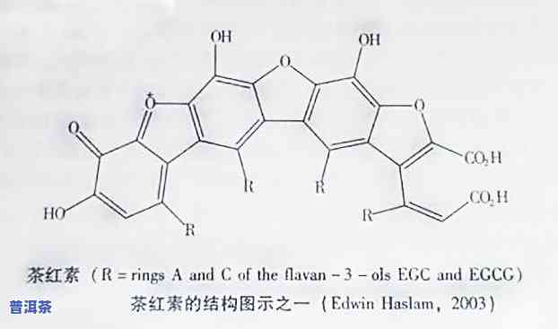 普洱茶的成分组成：详细解析