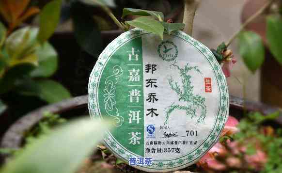 邦东老树普洱茶生茶，邦东老树普洱茶生茶：品味岁月沉淀的韵味