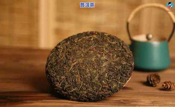 普洱茶生虫图片真实大全-普洱茶生虫图片真实大全大图