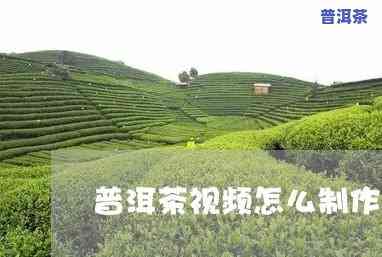 普洱茶特效视频制作方法图片，制作特别普洱茶广告：熟悉特效视频制作方法与步骤！