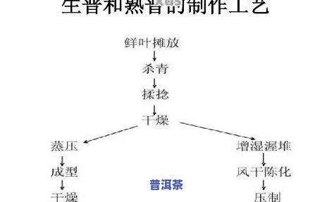 普洱茶沱怎么加工成的茶具，揭秘普洱茶沱：从原料到茶具的制作过程