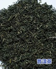 探究冰岛普洱茶树种：种类、种植时间全解析