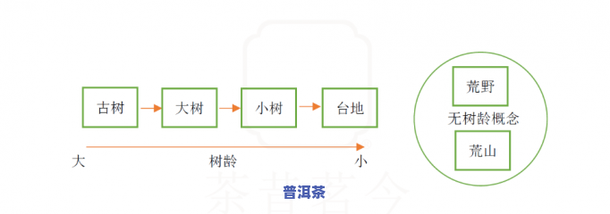 大益普洱茶最核心的两个技术，揭示大益普洱茶的核心技术：两大关键因素解析