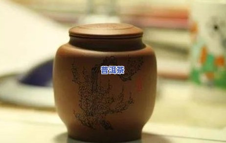 普洱茶黑色虫子还能喝吗-普洱茶黑色虫子还能喝吗图片