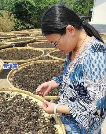 炒茶普洱茶价格是多少钱-炒茶普洱茶价格是多少钱一斤