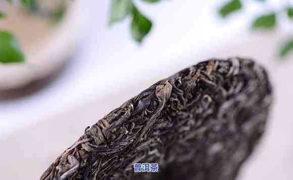 普洱茶压饼视频教程大全：从基础到进阶全攻略