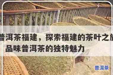 福建普洱茶怎么样？排行榜及评价