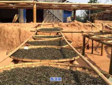 福建普洱茶工厂直销商家-福建普洱茶工厂直销商家电话