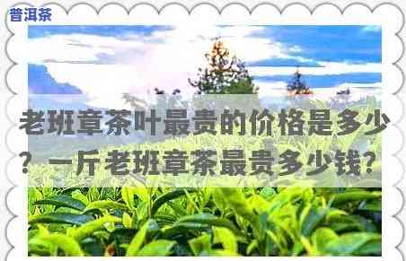 老班章茶最贵多少钱一斤，探秘顶级普洱茶——老班章茶的市场价格