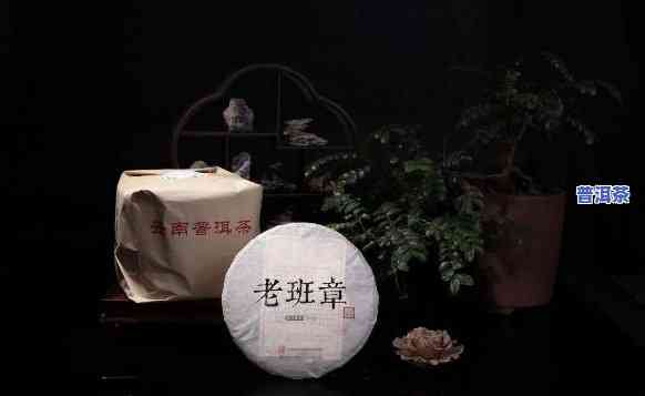 99年的老班章，追寻古韵：探访99年老班章普洱茶的传奇故事