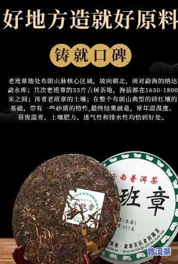 老班章生茶价格表，探究老班章生茶的价格走势：最新价格表一览