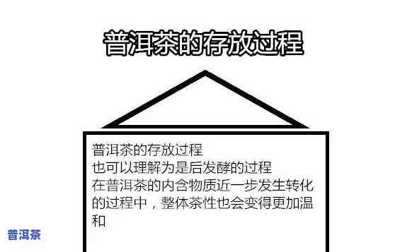 普洱茶属于什么茶性，探究普洱茶的茶性：属于哪种类型的茶叶？