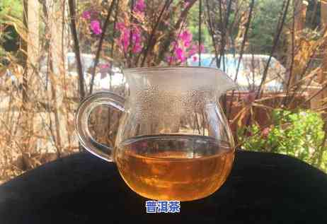 2006老班章茶王之王价，探寻茶叶界的传奇：2006年老班章茶王之王的价格解析