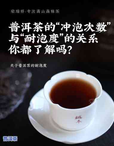 普洱茶泡一次更佳克数是多少？