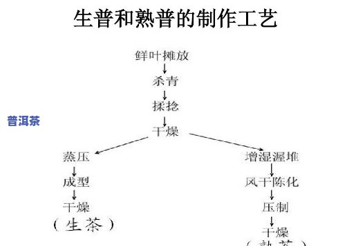 为什么生产熟普洱茶？探究其制作起因与价值