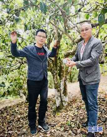 老班章大门图片：探索神秘古茶树园的照片与门头景色