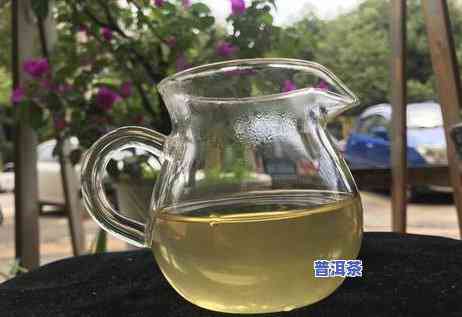 云南单株普洱茶分类图片-云南单株普洱茶分类图片大全