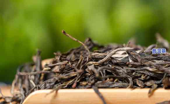 保存普洱茶的方法，普洱茶保存小技巧：让您的茶叶保持更佳状态！