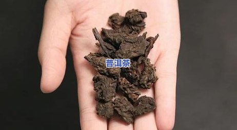 临沧石头山古树普洱茶特点，探秘临沧石头山：古树普洱茶的独特魅力与特点