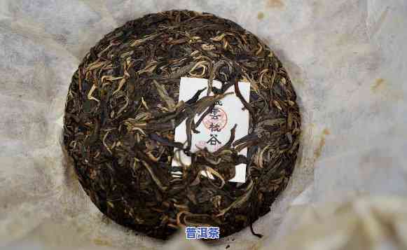 怎么区分老班章古树茶真假？了解其特点与鉴别方法