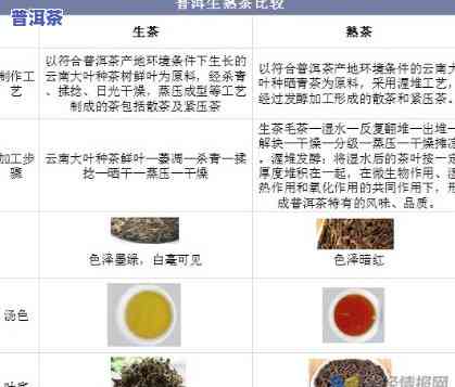 探究云南普洱茶的外观、滋味与香气：全貌解析