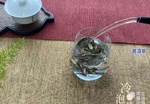 普洱茶与红茶：哪个冷泡更出色？